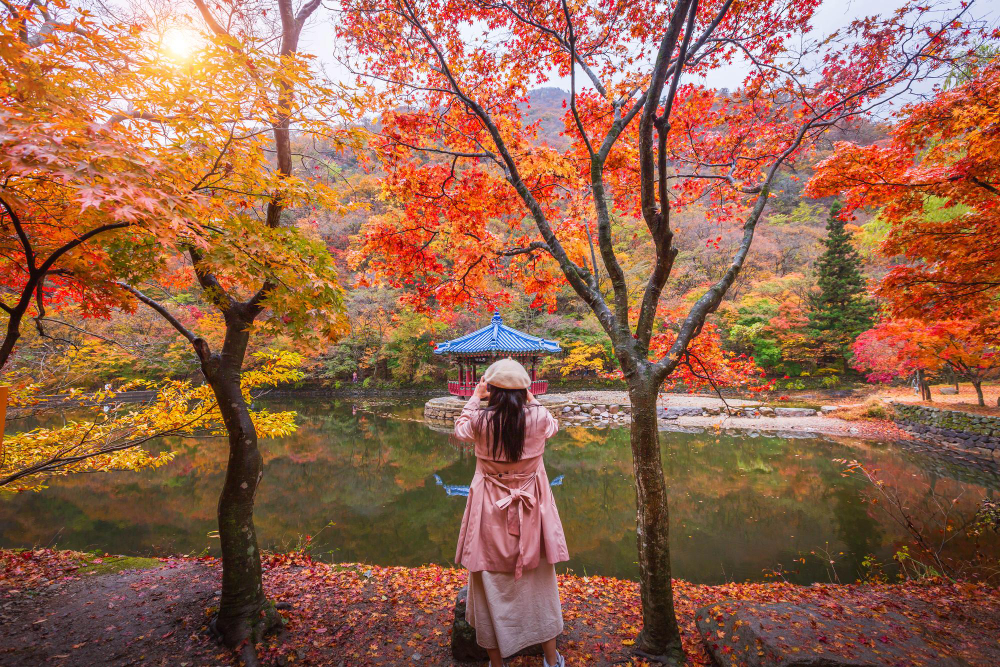 eSIM으로 관광 명소를 탐색하는 방법