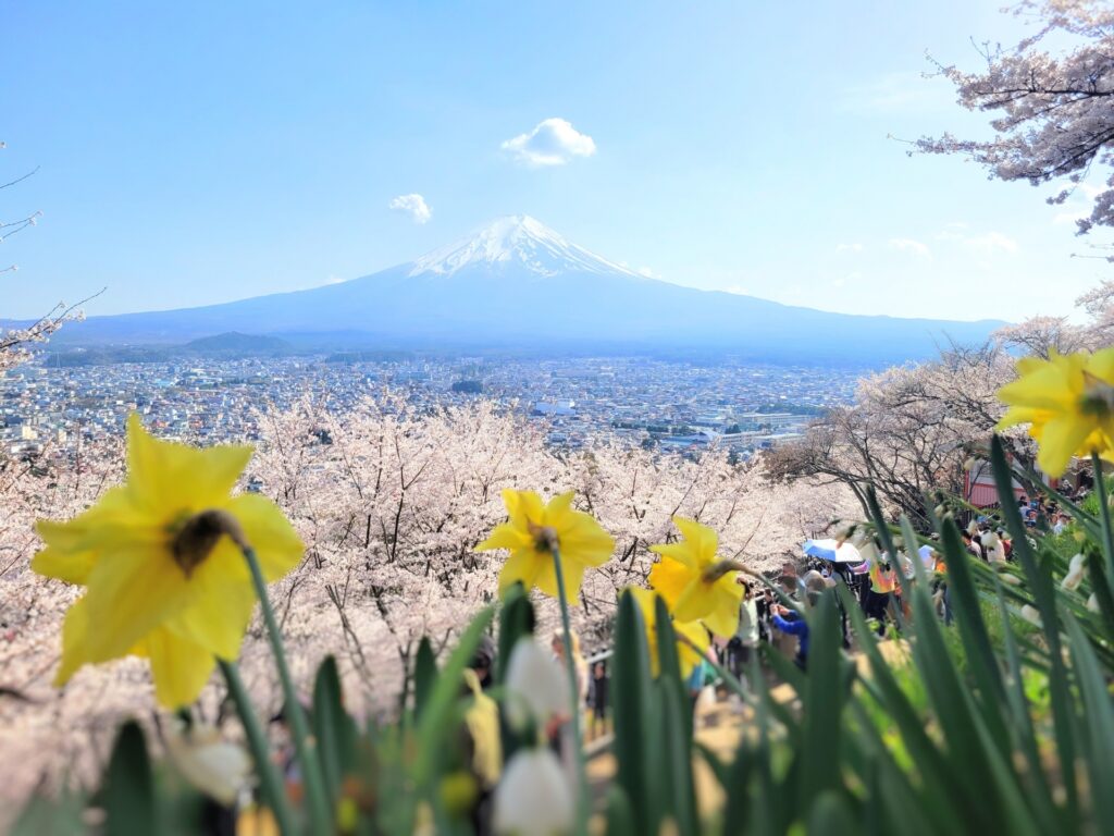 人気の撮影スポット