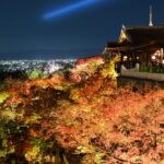 Popular Areas to Visit in Japan Using eSIM